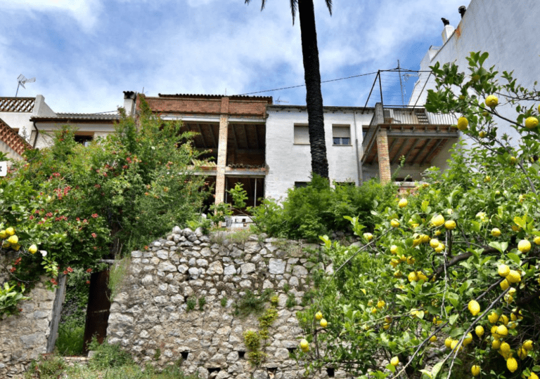 olea-home-propiedades_64c0e907ed991-source.png
